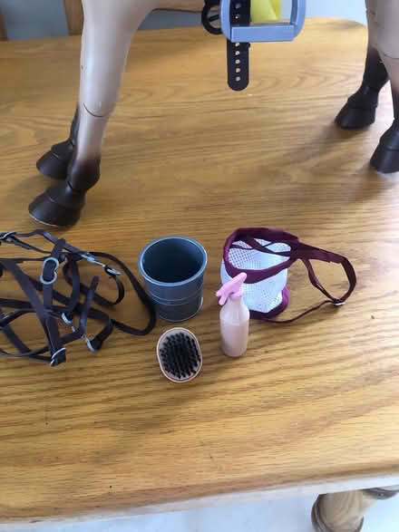 Photo of free Toy pony with accessories (Athlone) #2