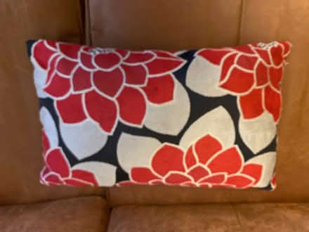 Photo of free Cushion approx size 22 x 13 inches (Bassingham LN5) #1