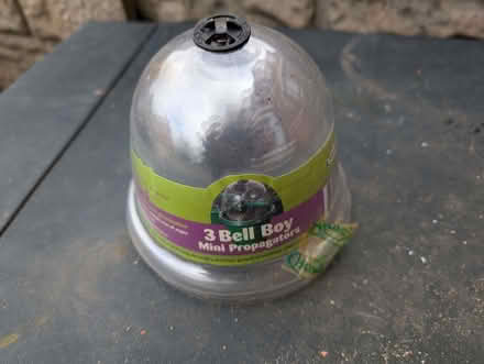 Photo of free 3 bell boy plant propagators (Southport PR8) #1