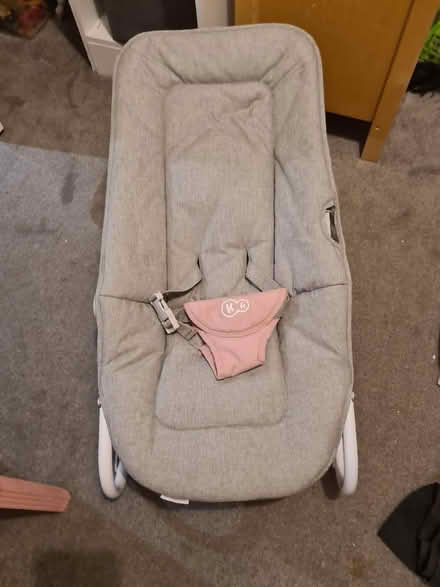 Photo of free Baby bouncer chair (RG17 hungerford) #2