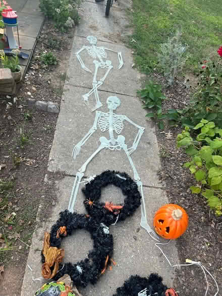 Photo of free Halloween decorations (Woodfield Rd & Airpark) #2