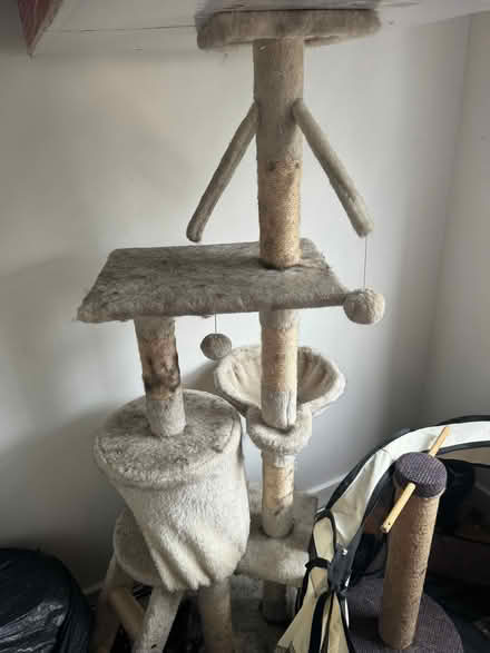 Photo of free Cat Tree & Cat Scratch Posts Multi-Level (E8) #2