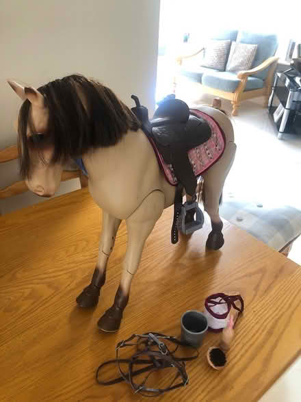 Photo of free Toy pony with accessories (Athlone) #3