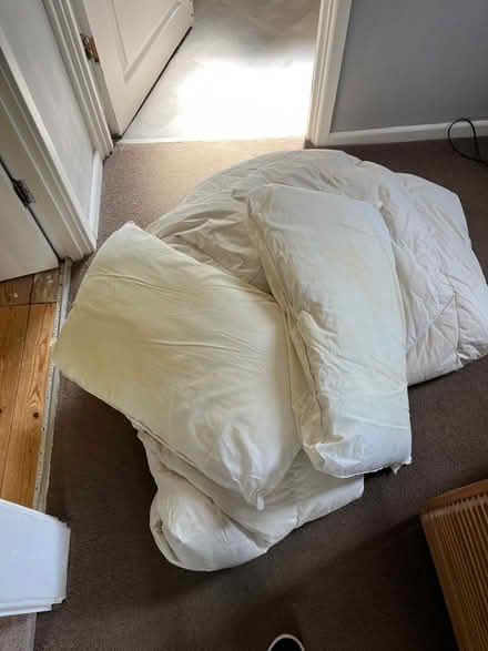 Photo of free B13 - old duvet and pillow (B13) #1