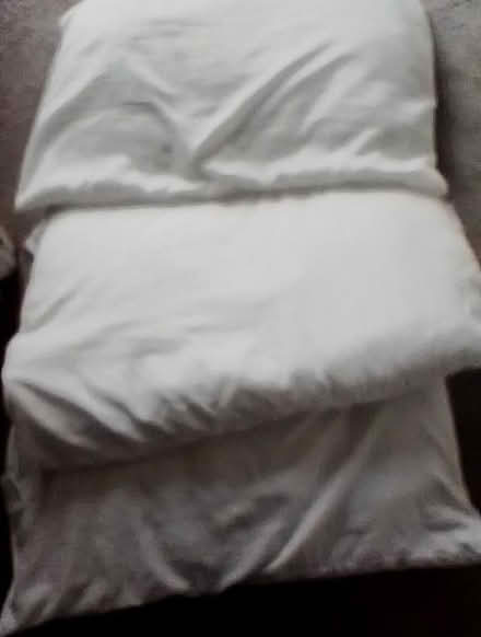 Photo of free Pillows x3 washed used condition (Cloakham EX13) #1