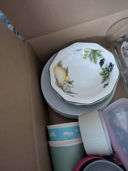 Photo of free Bowls (BH17 canford heath) #1