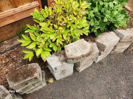 Photo of free 41 Stone pavers and pond liner (North Tabor/Montavilla) #1