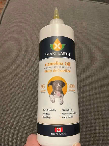 Photo of free Camelina Oil for Dogs (L9k 0e7) #1