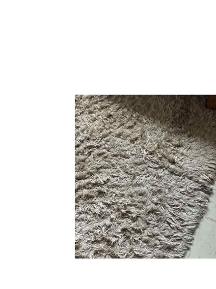 Photo of free 2 x RUGS - NEXT (Cotteridge/Northfield) #1