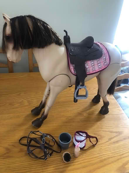 Photo of free Toy pony with accessories (Athlone) #1