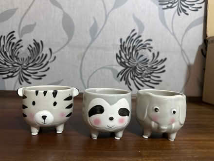 Photo of free Mini pots (CV4) #1