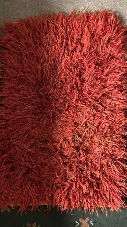Photo of free Small rug (BN2) #1