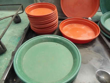 Photo of free Gardening items. (Frindsbury Extra ME2) #4