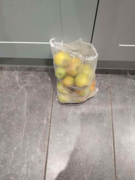 Photo of free apples (Poets MK40) #1