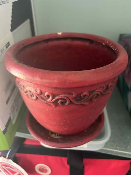 Photo of free Decorative pot (Downtown Guelph) #1