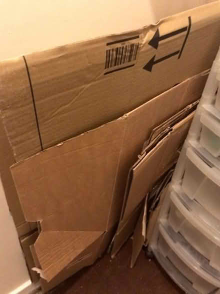 Photo of free asorted boxes (Buckland TQ12) #1