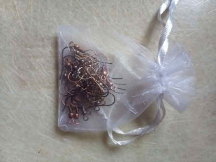 Photo of free Ear ring parts (Askham CA10) #1