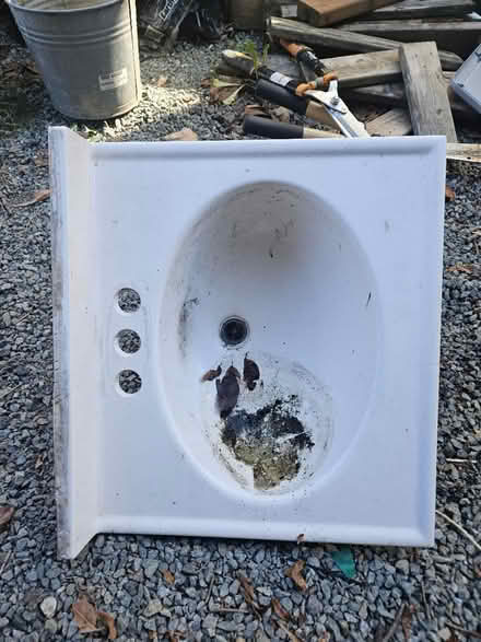 Photo of free Sink (Rainier Beach) #1