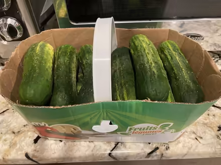 Photo of free 3 L basket of pickling pickles (Near Dal) #1