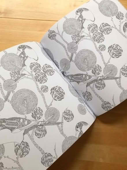 Photo of free Adult's colouring book (Aston on Clun SY7) #3