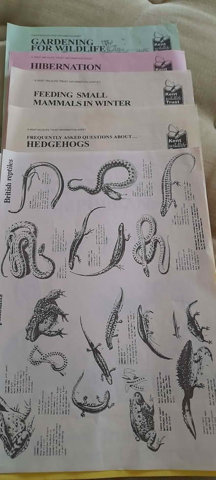 Photo of free Animal leaflets (Whitehawk BN2) #2