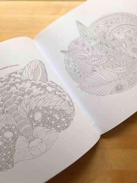 Photo of free Adult's colouring book (Aston on Clun SY7) #2