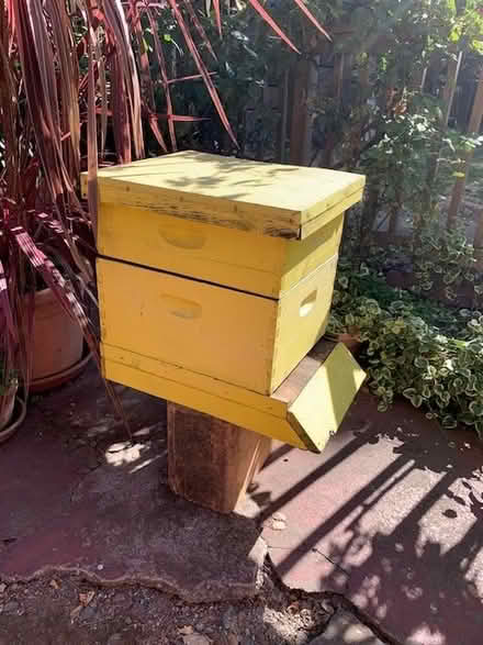 Photo of free Bee Keeping Equipment (Glenview, Oakland) #2