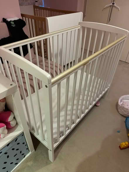 Photo of free Baby Cot (SW14 8AF) #1