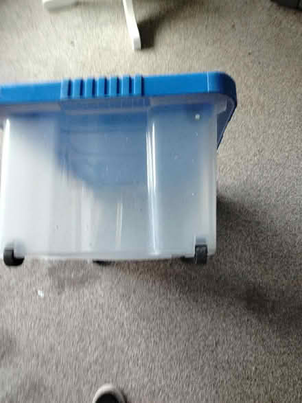 Photo of free Really useful plastic storage box (GL51 4UR) #4