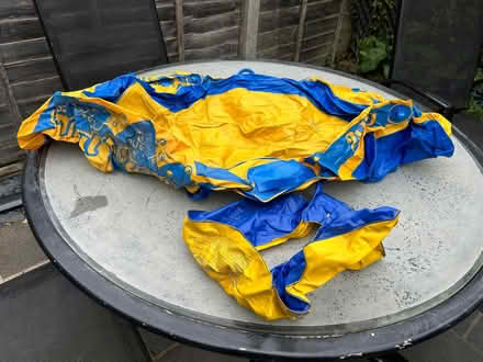 Photo of free Small pool/ boat (Winkfield Row RG42) #2