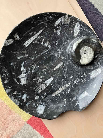 Photo of free Fossil plate damaged (Swindon SN25) #1