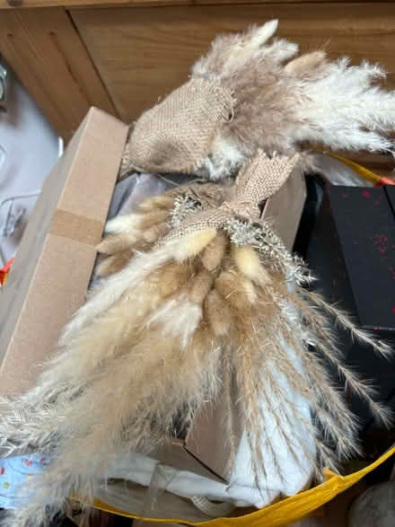 Photo of free Job lot of items (LU1) #2