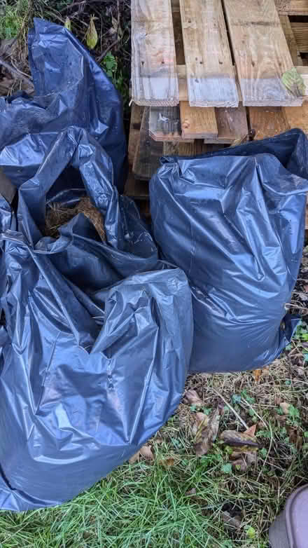 Photo of free Rabbit and ginea pigs manure (HP11) #1
