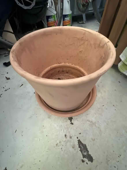Photo of free Clay pot large (Downtown Guelph) #3