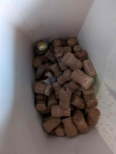 Photo of free Wine corks (PO19) #1