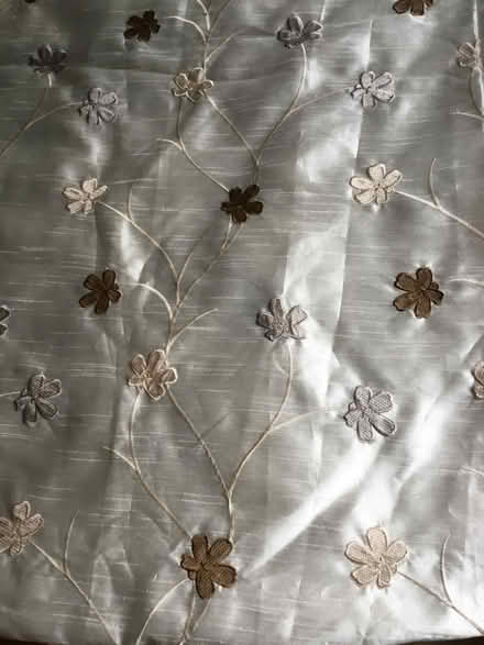 Photo of free Curtains (Hightown L38) #1