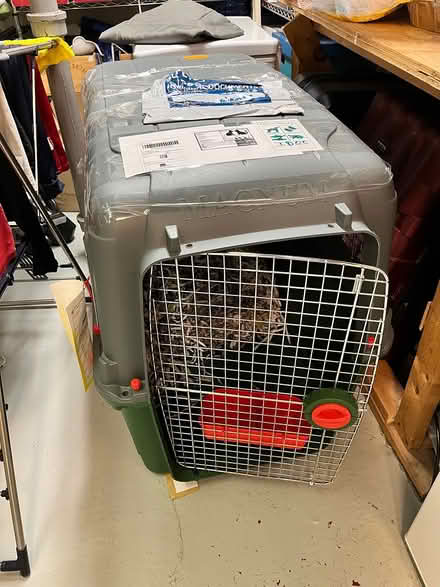 Photo of free Large dog crate (North York) #1