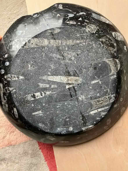 Photo of free Fossil plate damaged (Swindon SN25) #2