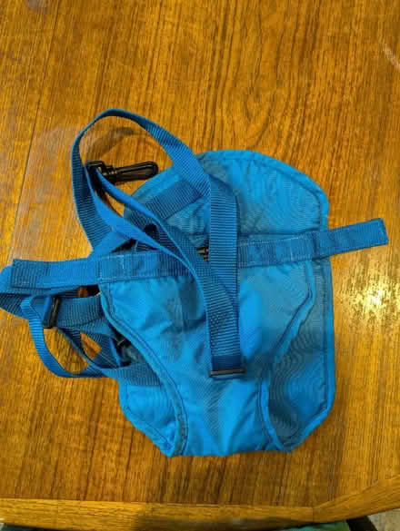 Photo of free Pet Pouch harness (North Cambridge) #1