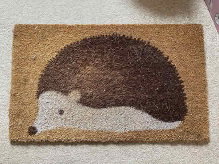 Photo of free Door mat (Stonehouse GL10) #1