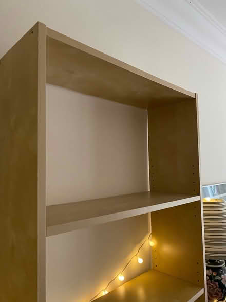 Photo of free Shelf (Botley/West Oxford, OX2) #2