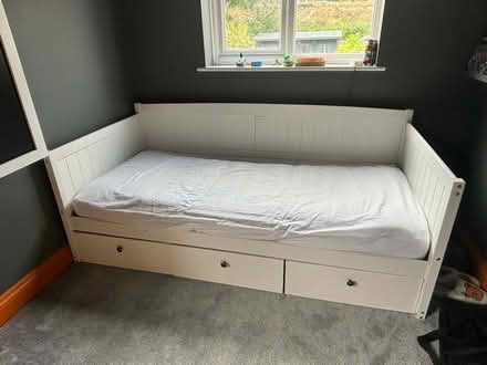 Photo of free Single bed (Knebworth, SG3) #1