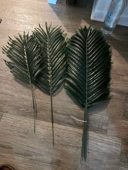 Photo of free Plastic palm fronds (32792) #1