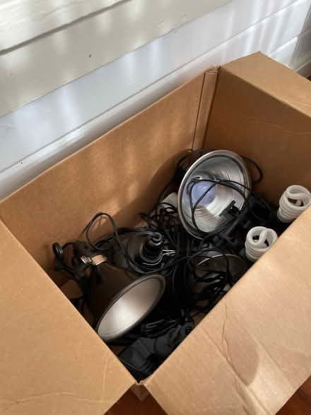 Photo of free Photo studio lights (St. John’s)