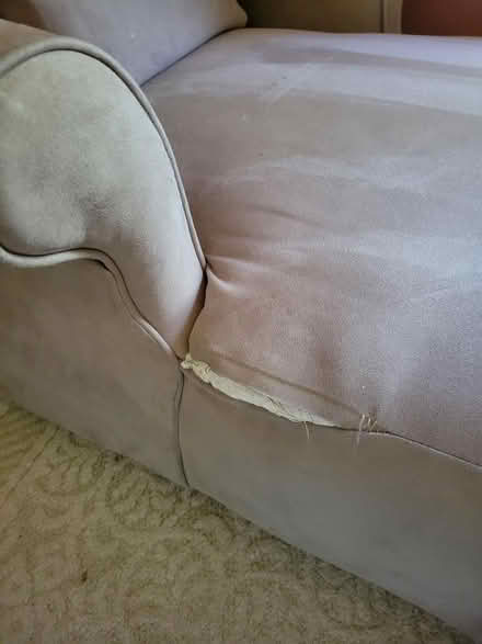 Photo of free Comfy Chaise (by Whole Foods) #2