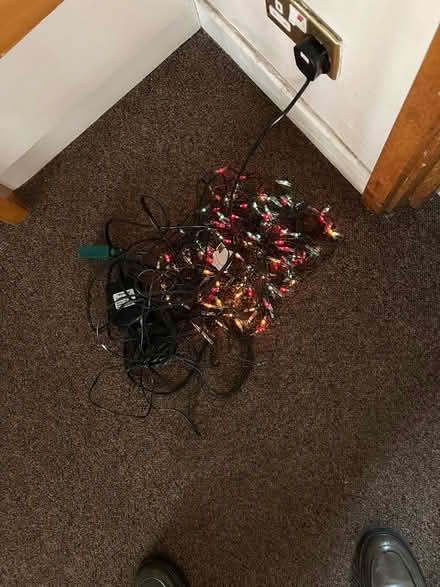 Photo of free Net of working fairy lights (Teddington TW11) #2