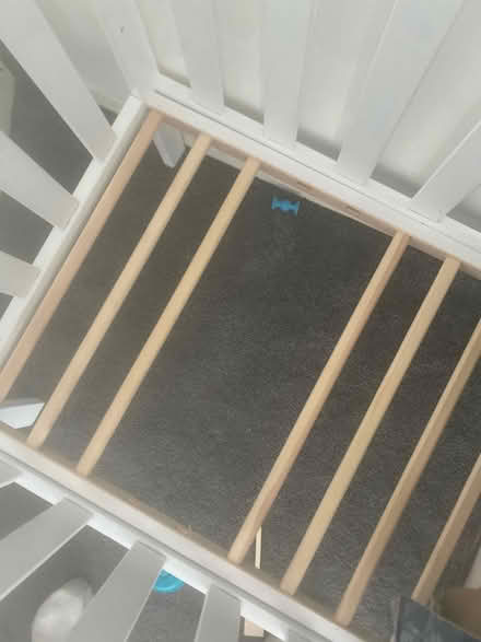 Photo of free cot bed with mattress (Dagenham) #4