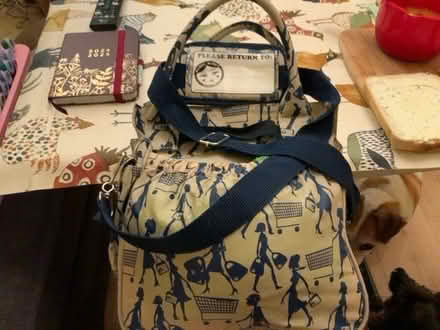 Photo of free A ‘Trolley Dolly” bag of quality reusable shopping bags (Bedford MK42) #1