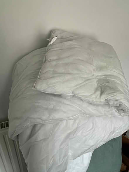 Photo of free double duvet (without cover) (Jericho OX2) #2