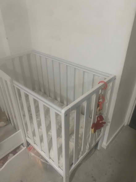 Photo of free cot bed with mattress (Dagenham) #2